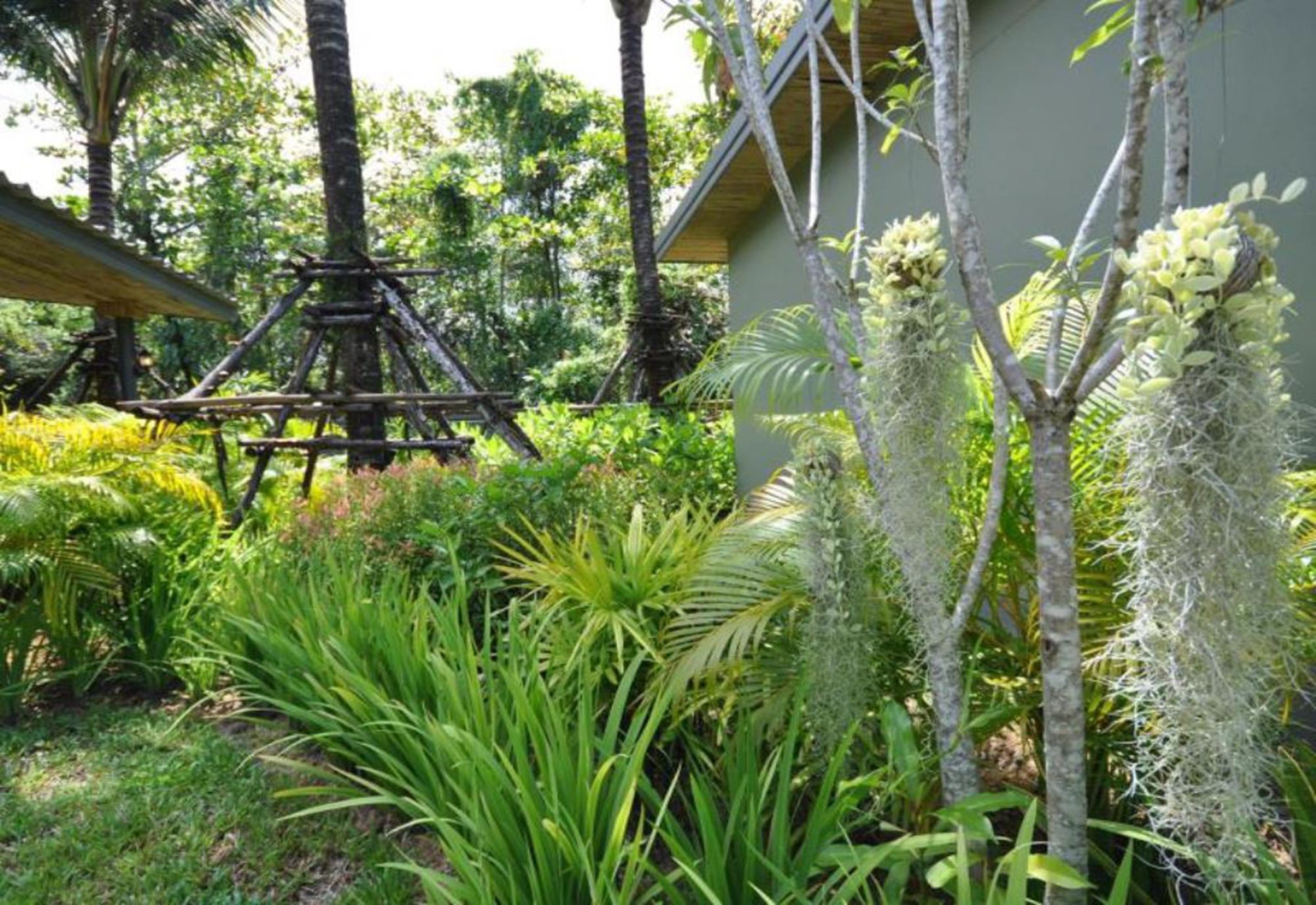 Loft Garden Villa @ Bangsak Khao Lak Extérieur photo